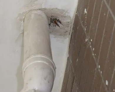 怒江漏水检测哪家好